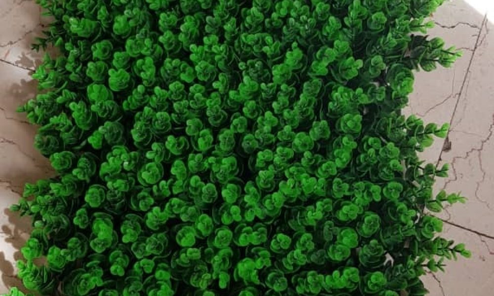 پنل شمشادی 60*40 09121780259